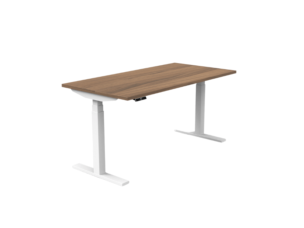 Standing Desks