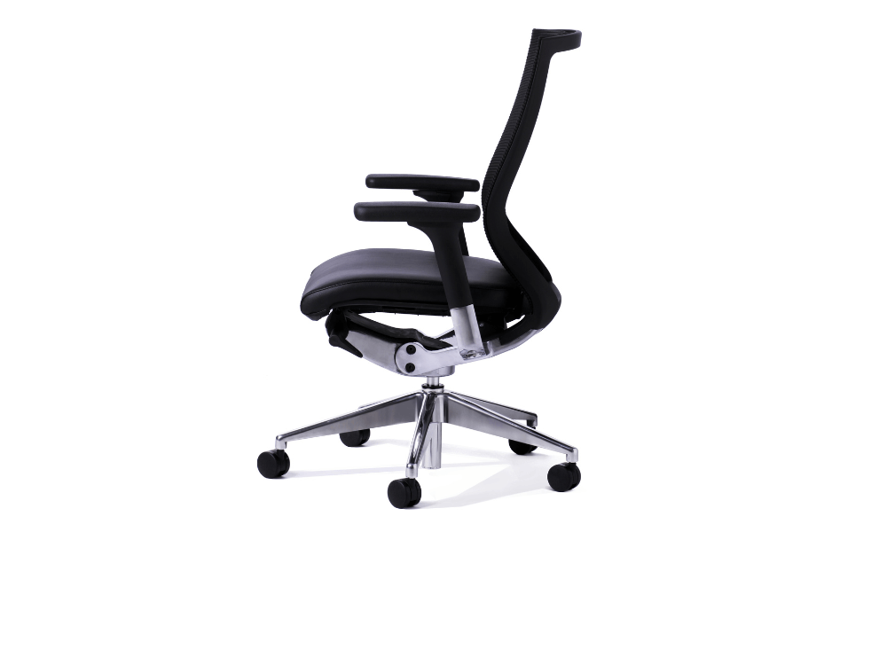 Balance Executive Office Chair