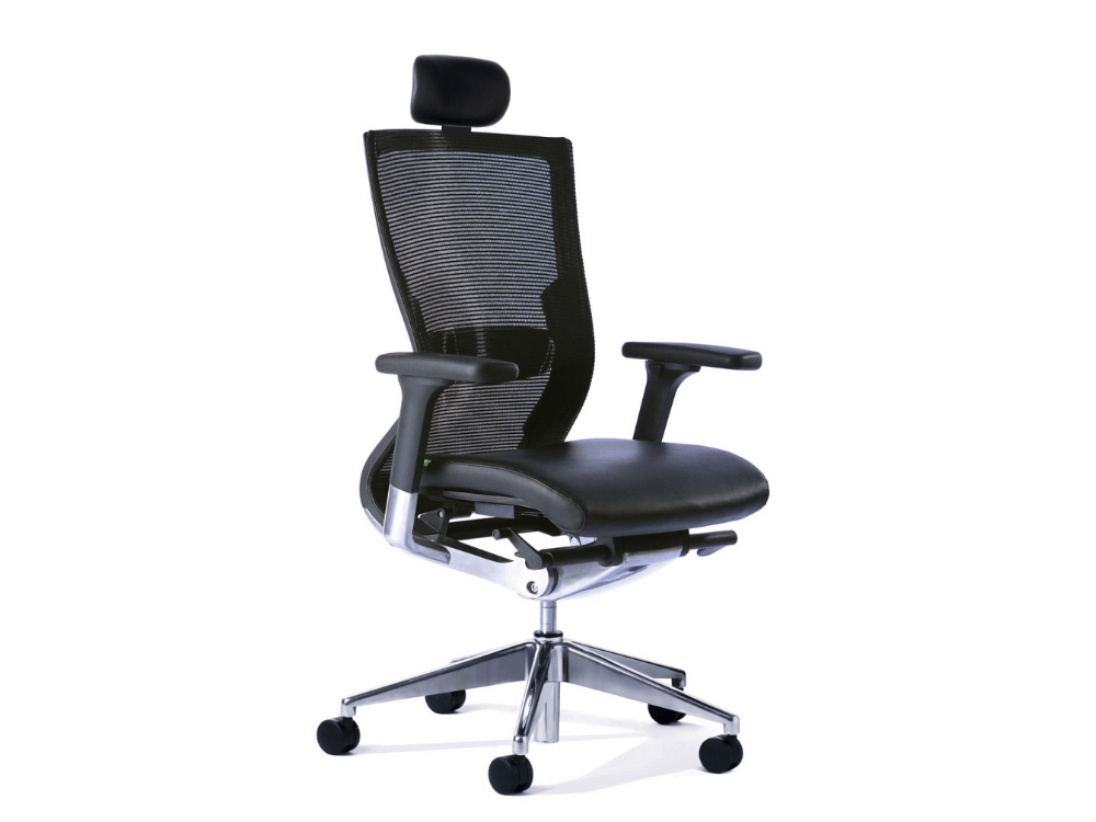 Balance Executive Office Chair