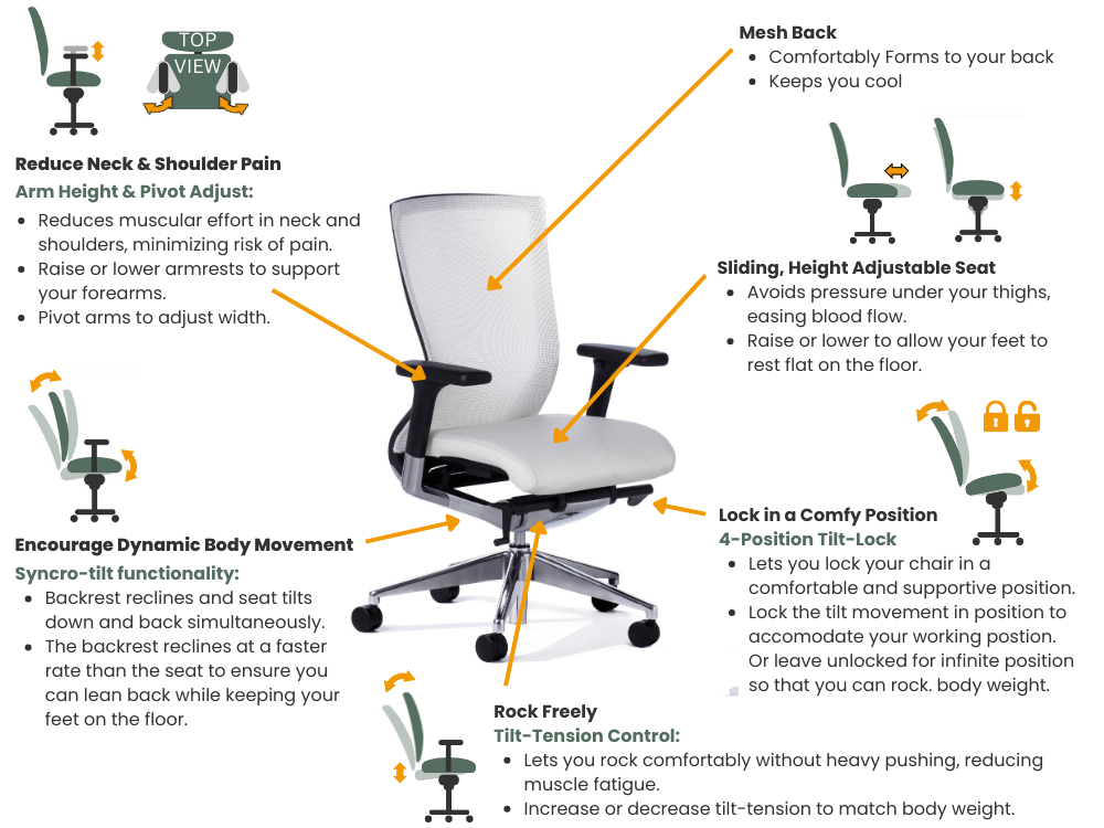 Balance Executive Office Chair