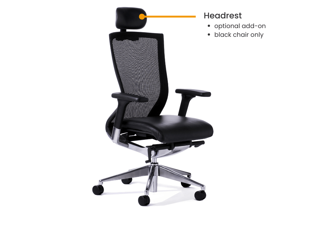 Balance Executive Office Chair