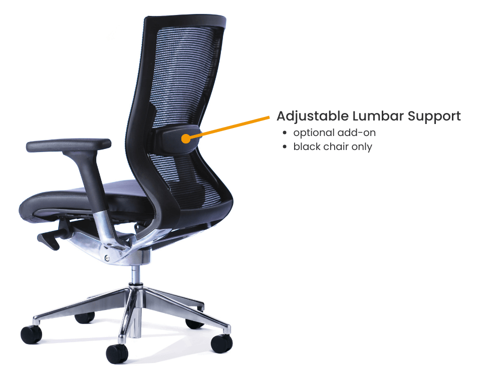 Balance Executive Office Chair