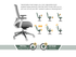 Compasss Task Chair