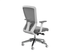 Compasss Task Chair