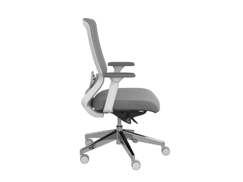 Compasss Task Chair
