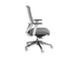 Compasss Task Chair
