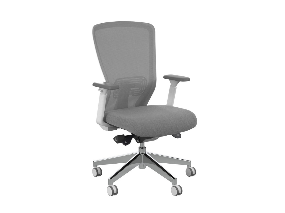 Compasss Task Chair