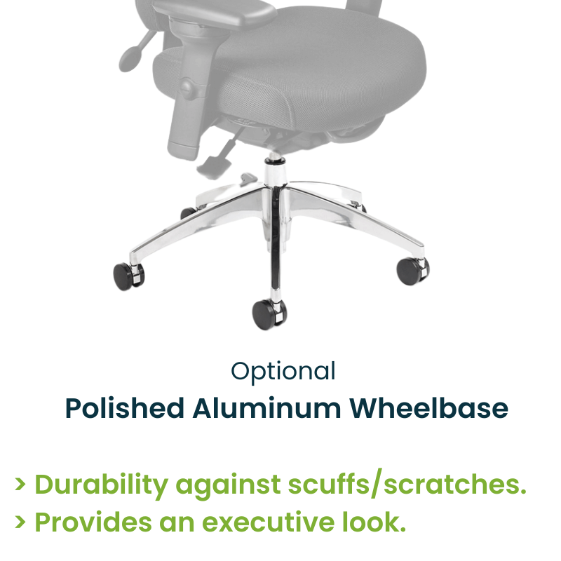 ergoCentric Polished Aluminum Wheelbase