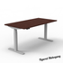 UpCentric 2LV Standing Desk - Silver