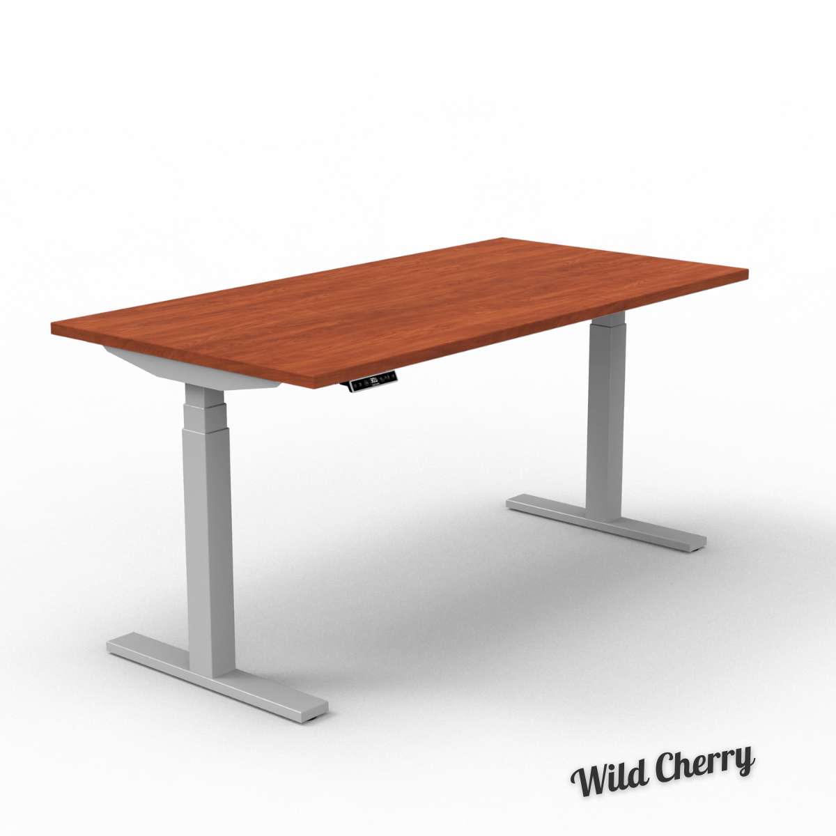 UpCentric 2LV Standing Desk - Silver