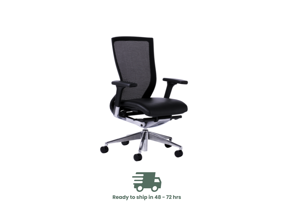 Balance Executive Office Chair